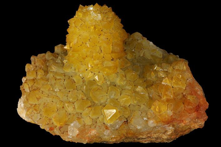 Sunshine Cactus Quartz Crystal - South Africa #98379